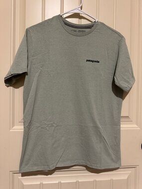 Patagonia Men's Short-Sleeve Tee in Sage Green with Chest Logo